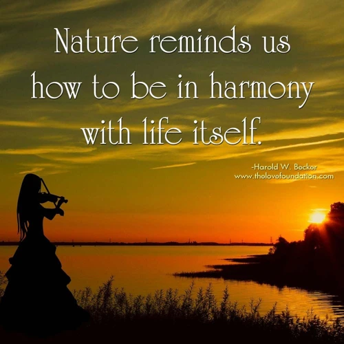 Harmonie Mit Der Natur