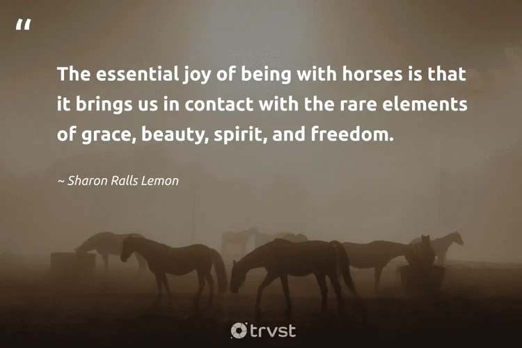 Zitate Über Das Glück, Ein Pferd Zu Besitzen