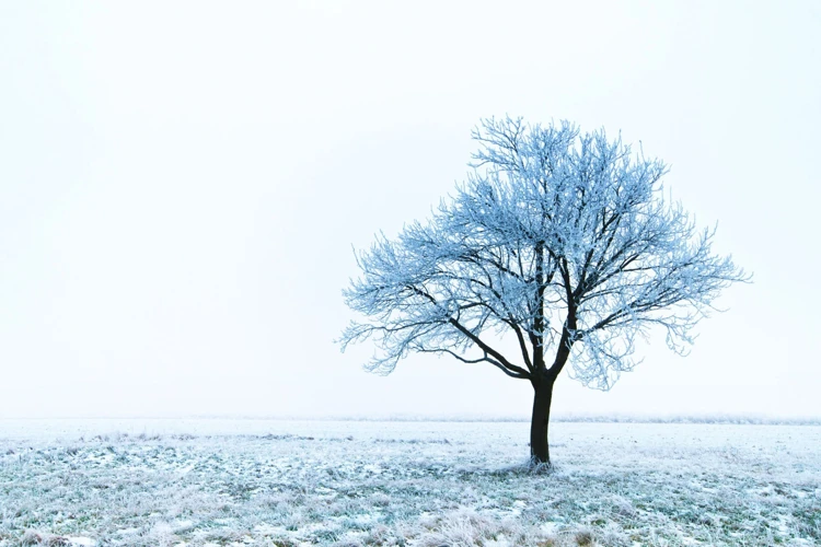 Schnee Als Metaphorisches Element