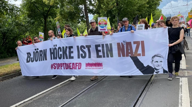 Die Afd Und Ihre Politik