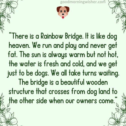 Die Bedeutung Der Regenbogenbrücke Für Haustiere