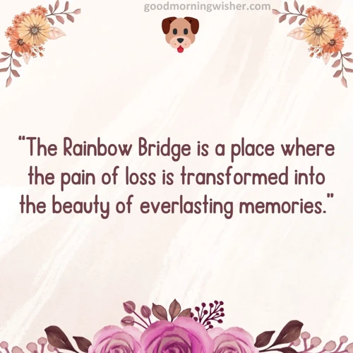 Die Regenbogenbrücke Als Trostquelle