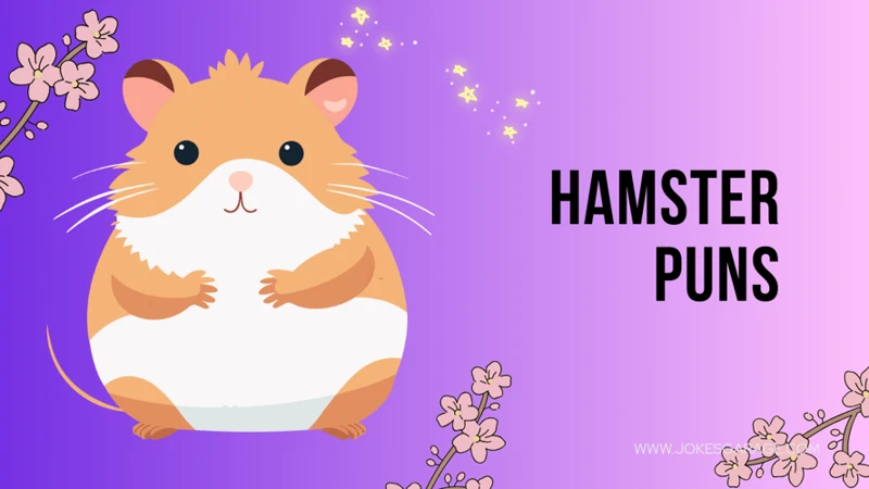 Lustige Hamster-Wortspiele