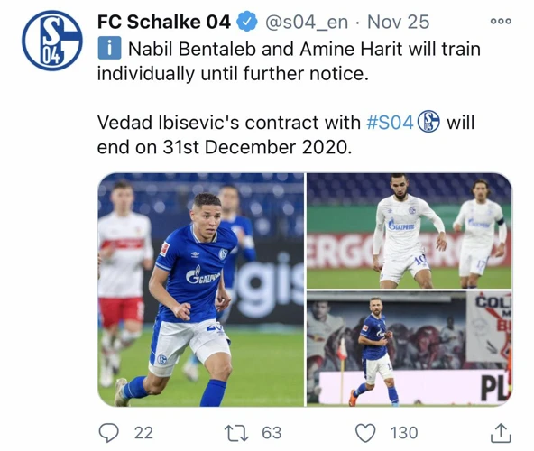 Humorvoll Durch Den Alltag Mit Schalke Sprüchen