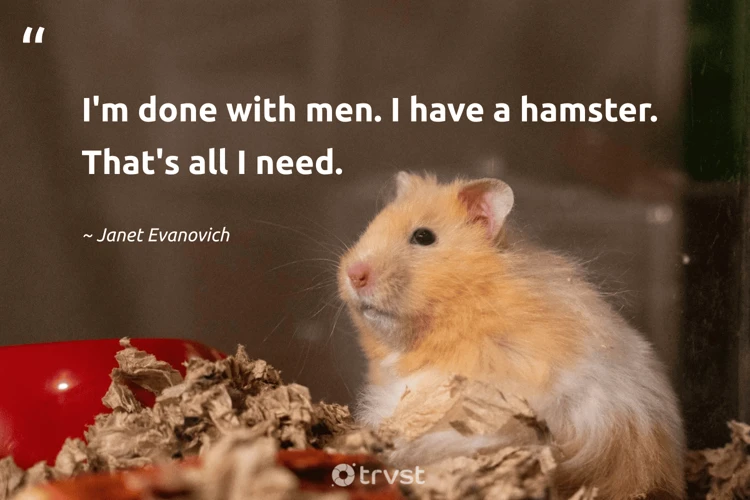 Süße Hamster-Zitate