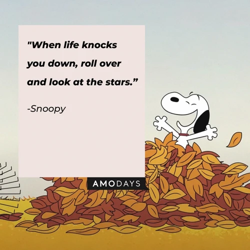 Die Erfolgsgeschichte Von Snoopy Und Den Peanuts