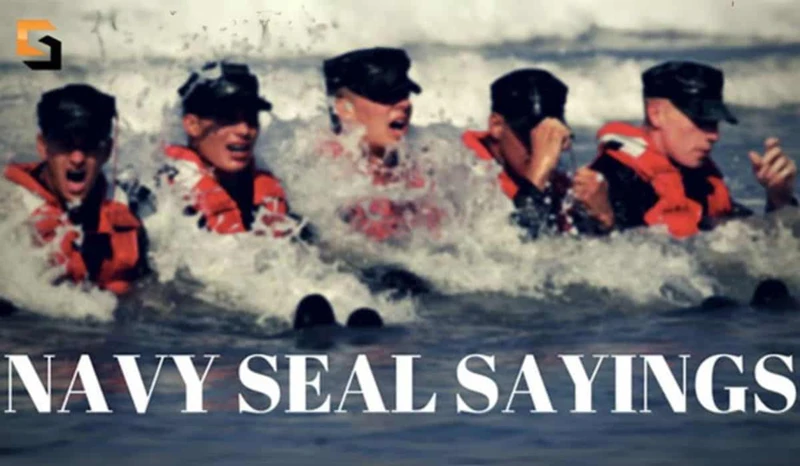 Was Sind Navy Seals?